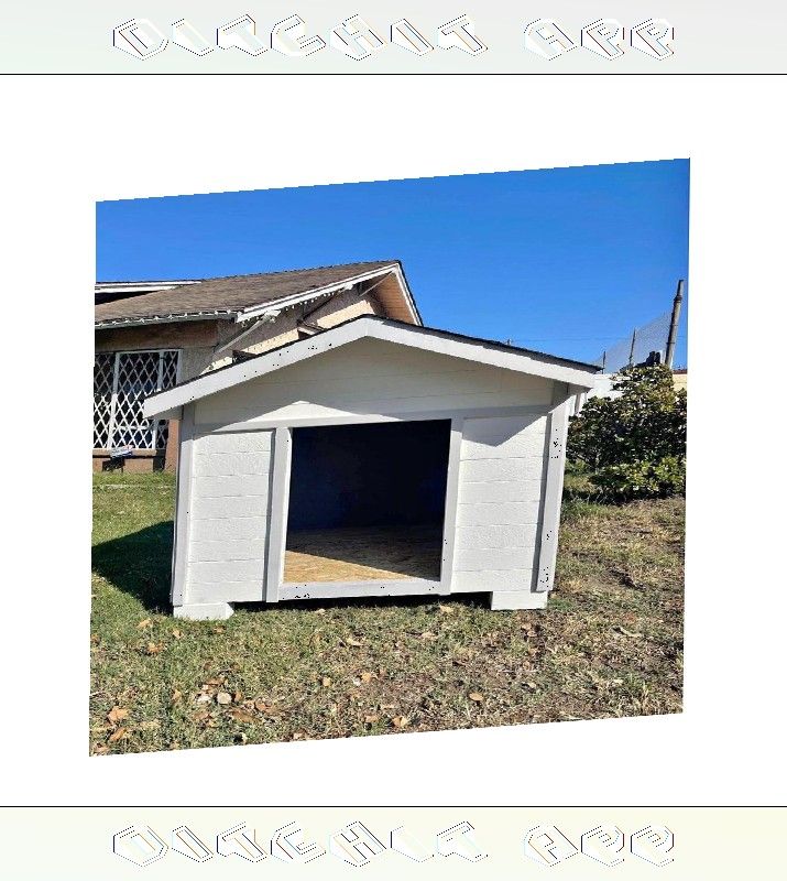 she baby Weather-Safe Dog Houses in Any Size - Protection in Every Season