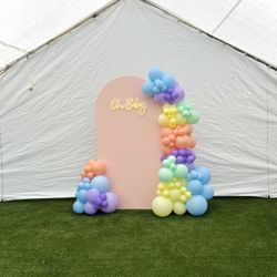 Arch Backdrop & Balloons 