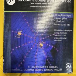 BRAND NEW  Halloween Spider Web Light