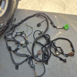 Headlight Harness 