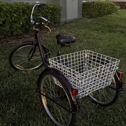 Adult trike