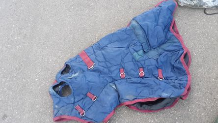 Horse blanket