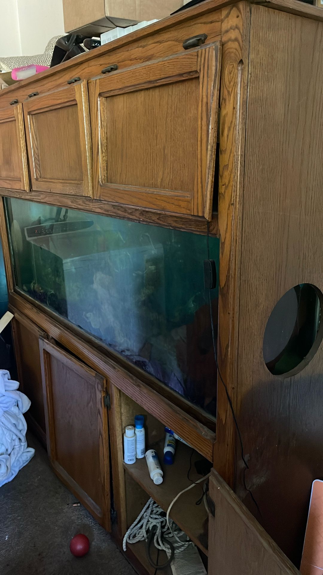 100plus gallon fish tank w/Stand