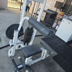 AB Abdominal And Back Fitness Workout Exercise Home Gym Weight Machine