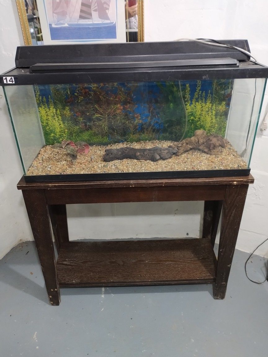 Fish Tank & Stank