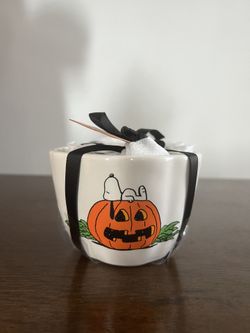 Snoopy Rae Dunn Measuring Cups ISO 