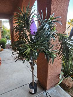 Large Artificial Dracaena Tree in Black Pot