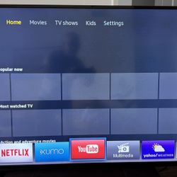 Vizio 55” TV