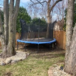Free trampoline.