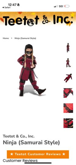 Ninja (Samurai Style) costume