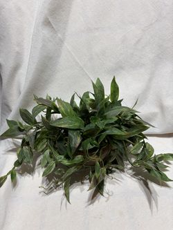 Faux Fake Plant in Pot Planter Floral Decor