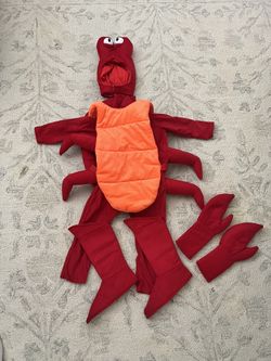 Kids Crab Costume