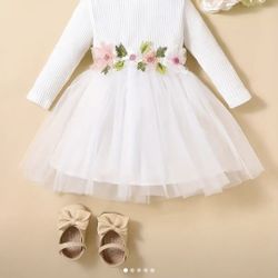 Baby Girls Ribbed Long Sleeve Mesh Hem Dress With 3D Flowers Design Baby Clothes