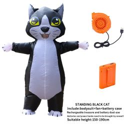 Costume
