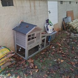 Rabbit  Hutch
