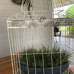 Decorative Cage with fake plant -25”  height