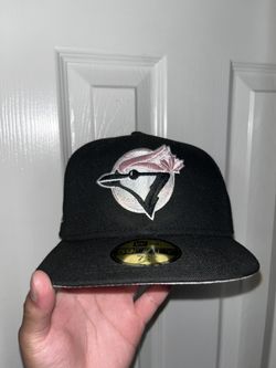 Blue Jays Fitted