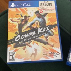 Kobra Kai The Karate Kid Saga