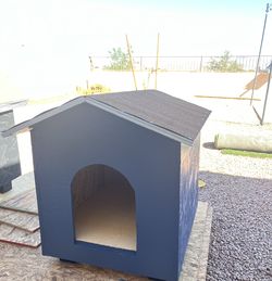 Dog House