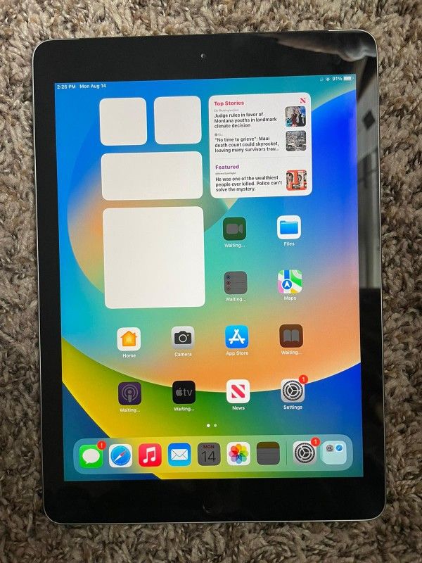 Apple Ipad Air Unlocked
