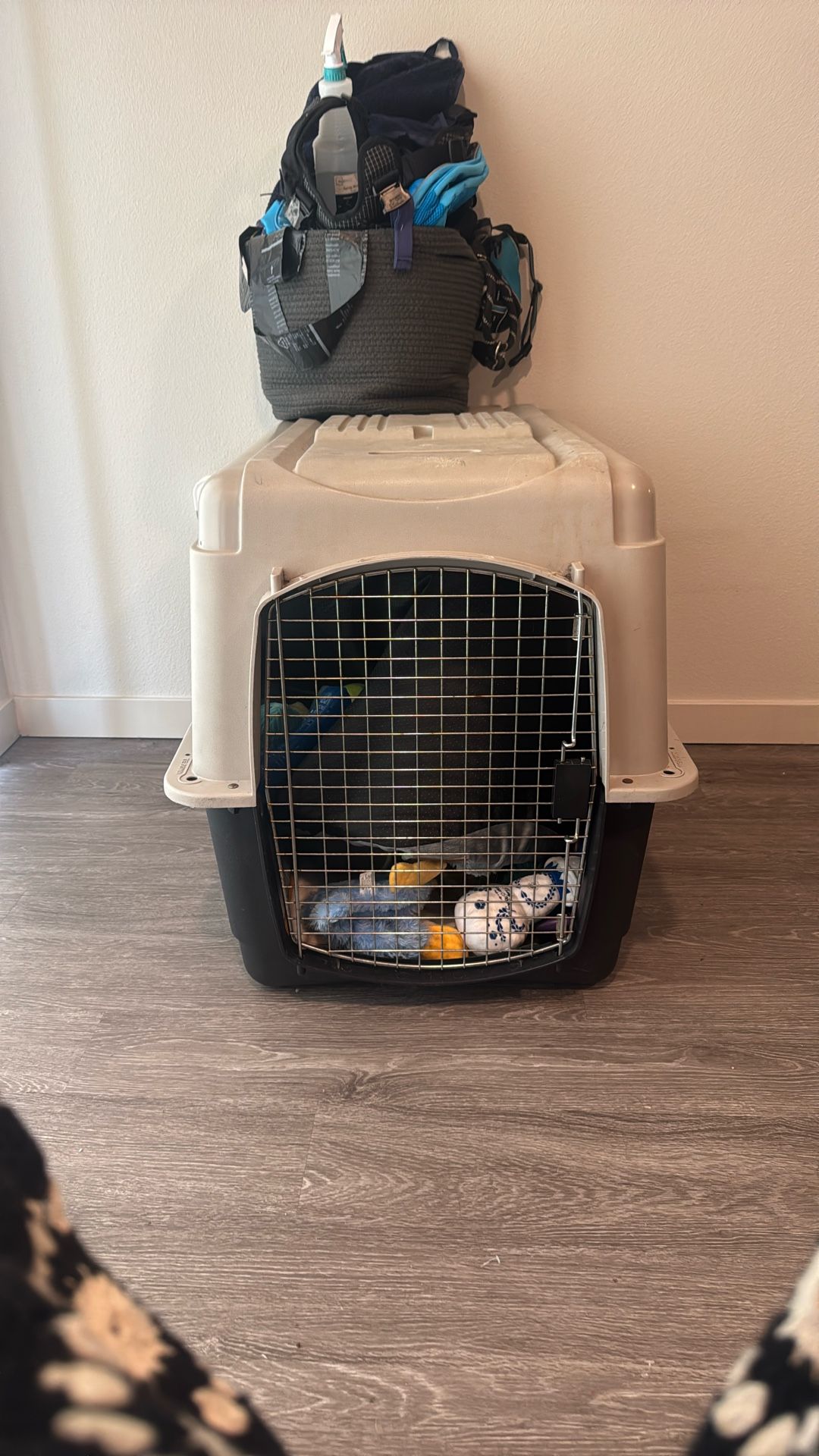 Kennel Plus Essentials For Big Dogs