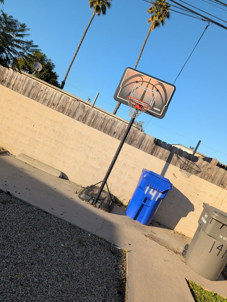 Lifetime Basketball Hoop