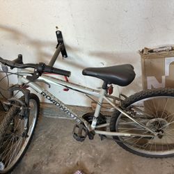 Grey Roadmaster Bike