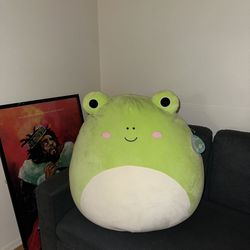 Frog Squishmellow