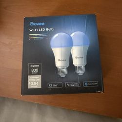 Govee Light Bulb 