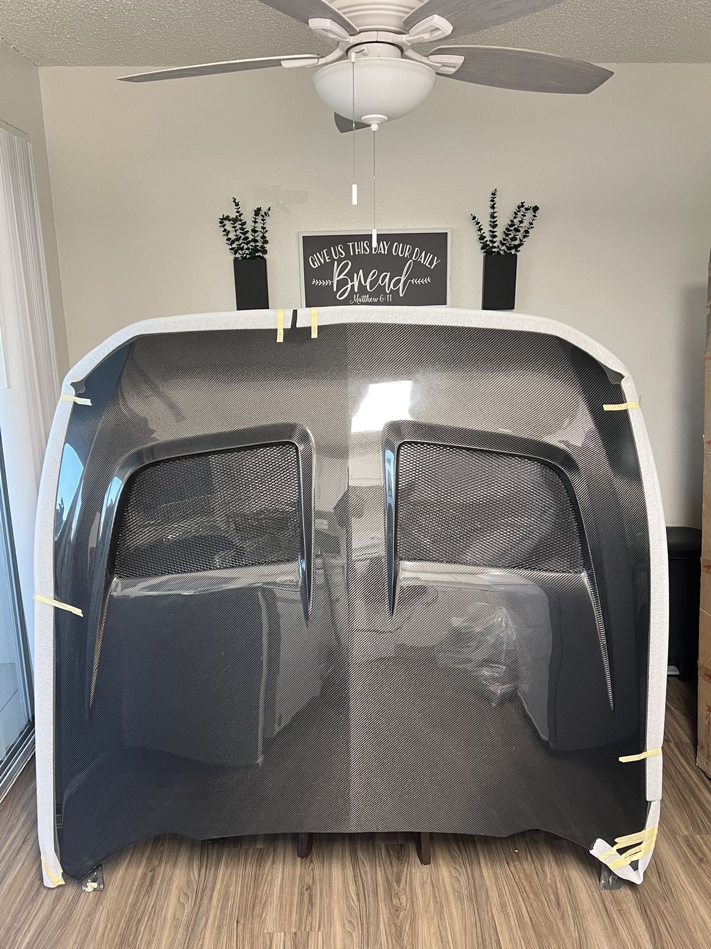 24-25 Mustang Gtd Carbon Hood