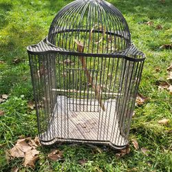 Bird Cage. 