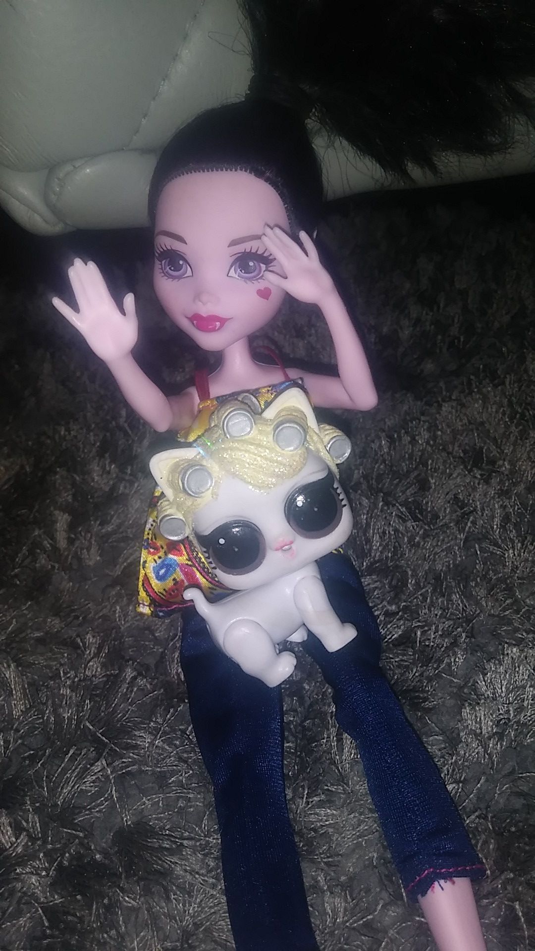 Monster High doll and LOL cat