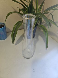 Wine/ drink decanter with ice holder