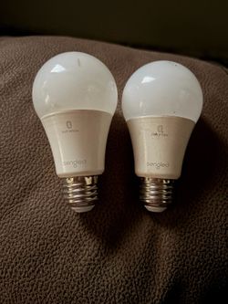 Alexa light bulbs