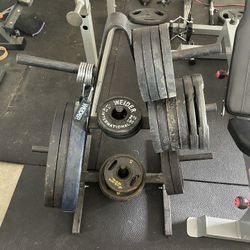 Olympic Plates Weights 