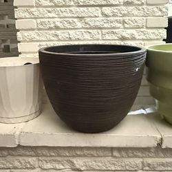 Set of 4 plants 2 large and 2 medium size