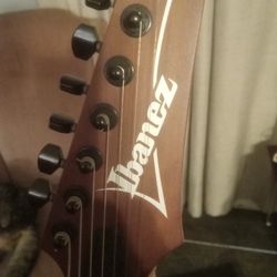 Ibanez Electric Guitar With Fender Amp