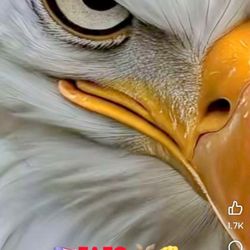 Electric Bikes And Motorcycle Repair