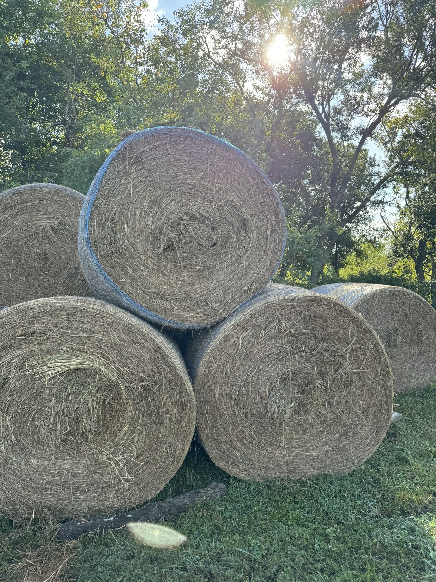 Rollos De Sacate Hay Bales