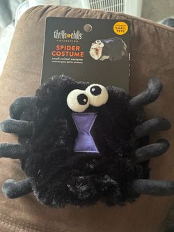 Thrills & Chills Spider Costume for Small Pets