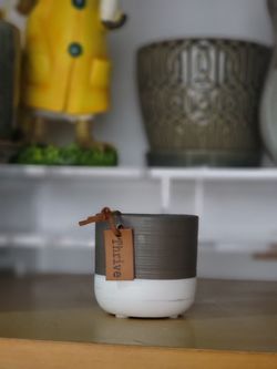Planter