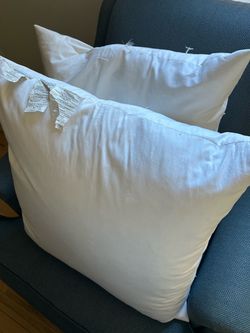 Pottery barn  feather pillow inserts (2)