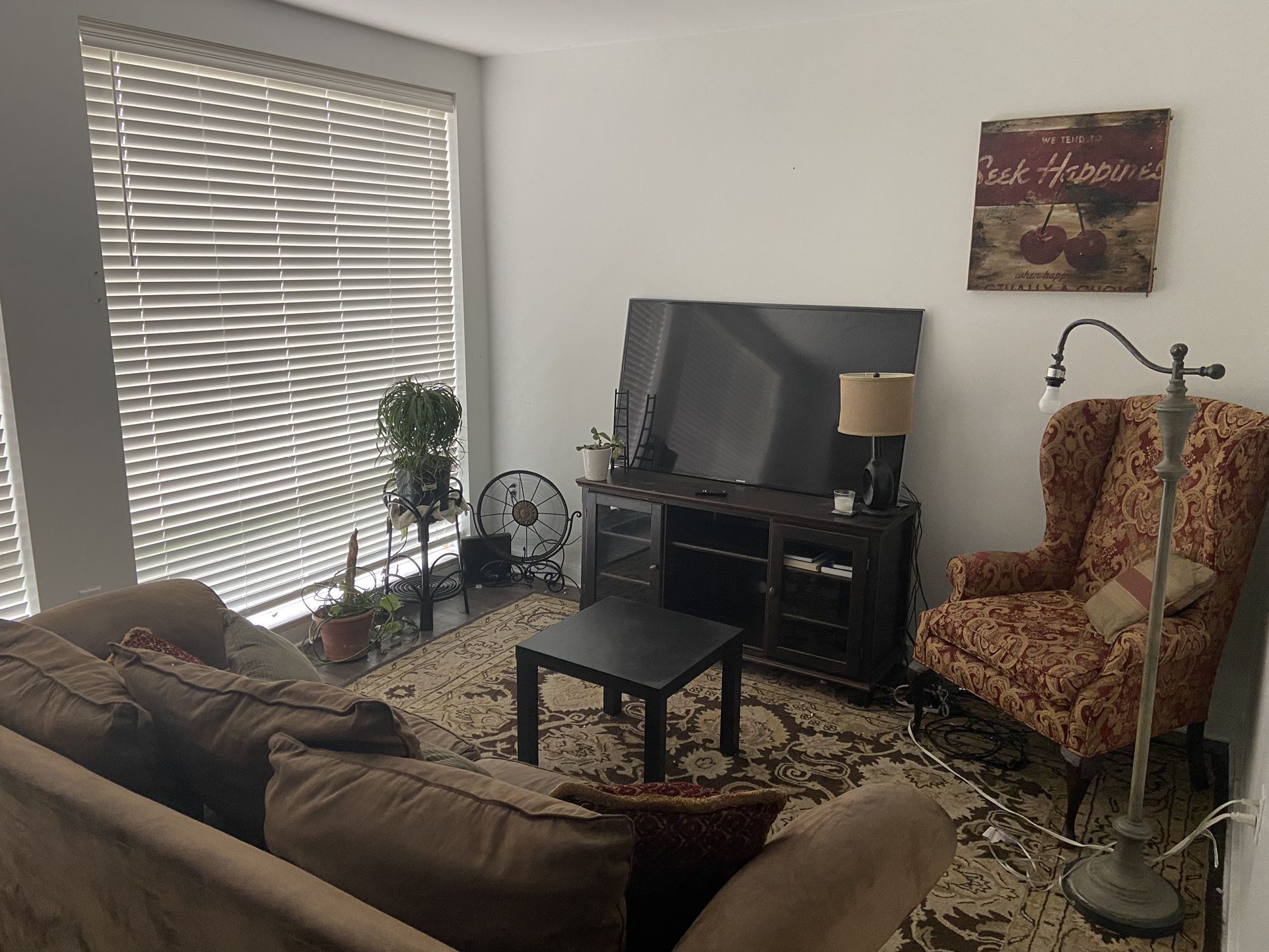 Full Living Room Set (everything seen in picture) 