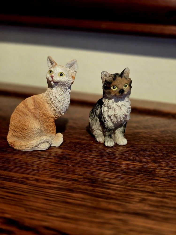 Small Cats