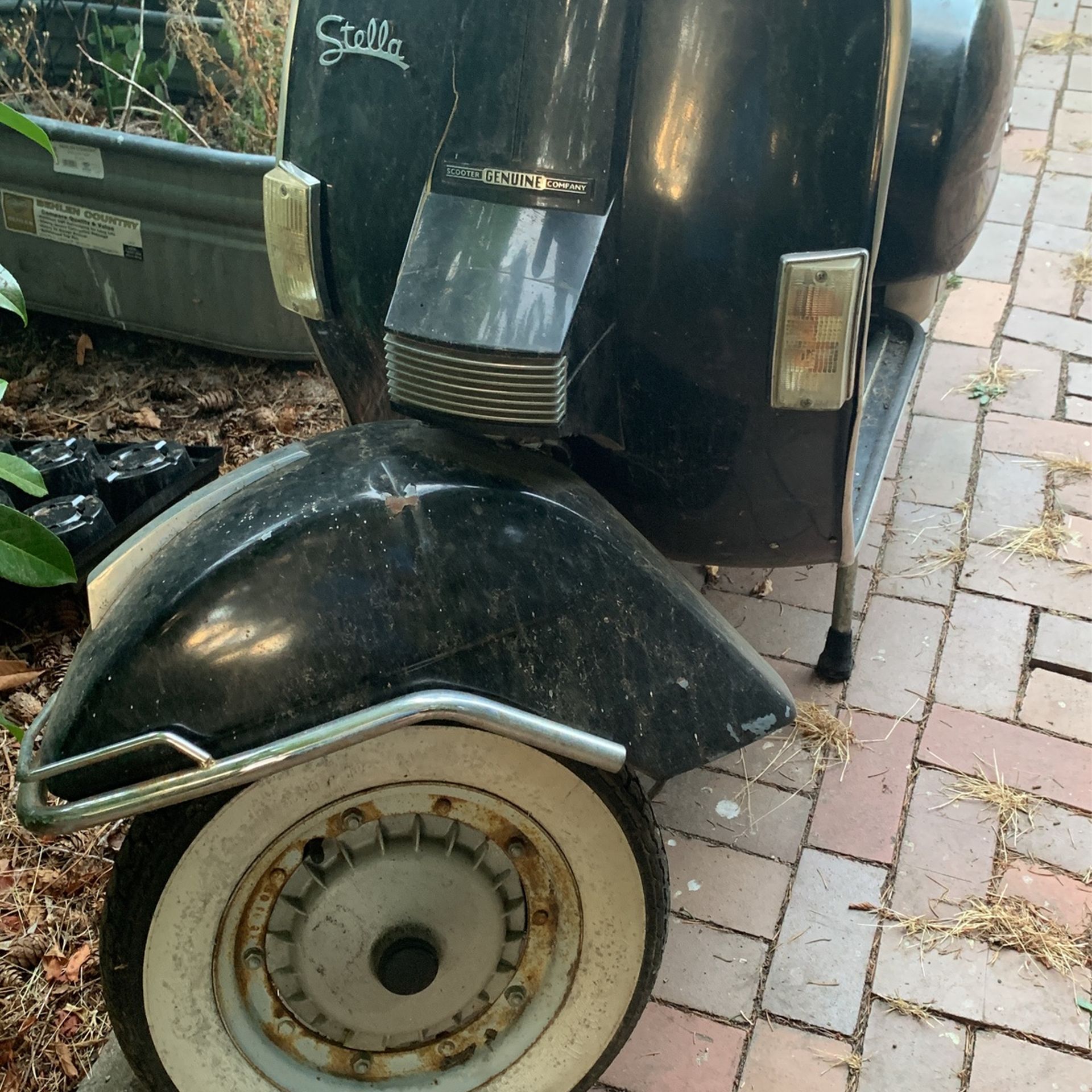 Stella Scooter Pending Pick Up 9pm