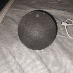 Echo Dot Round 4th Gen (No Box)