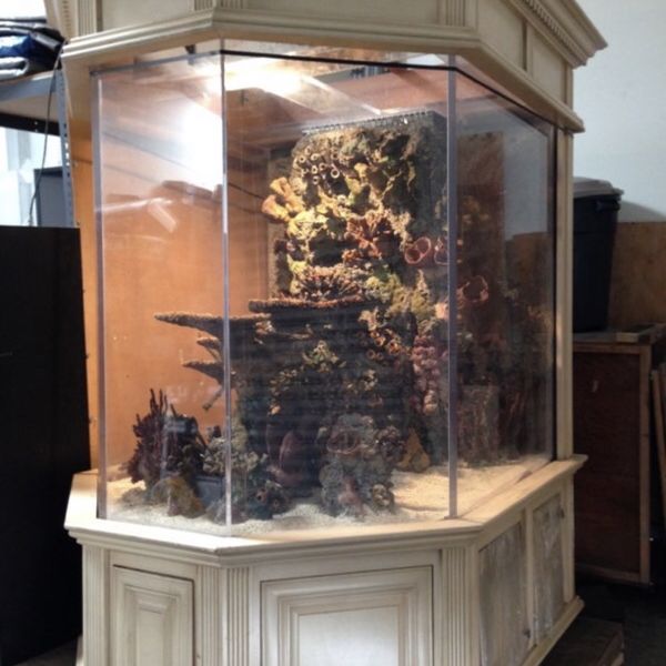 Huge Acrylic Fish Tank Aprox 7001000 Gallon Aquarium You’ll Need A