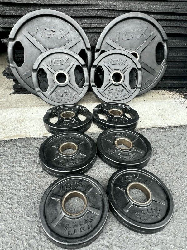 Olympic Weights For Home Gym