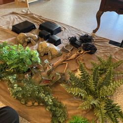 Reptile supplies wholesale