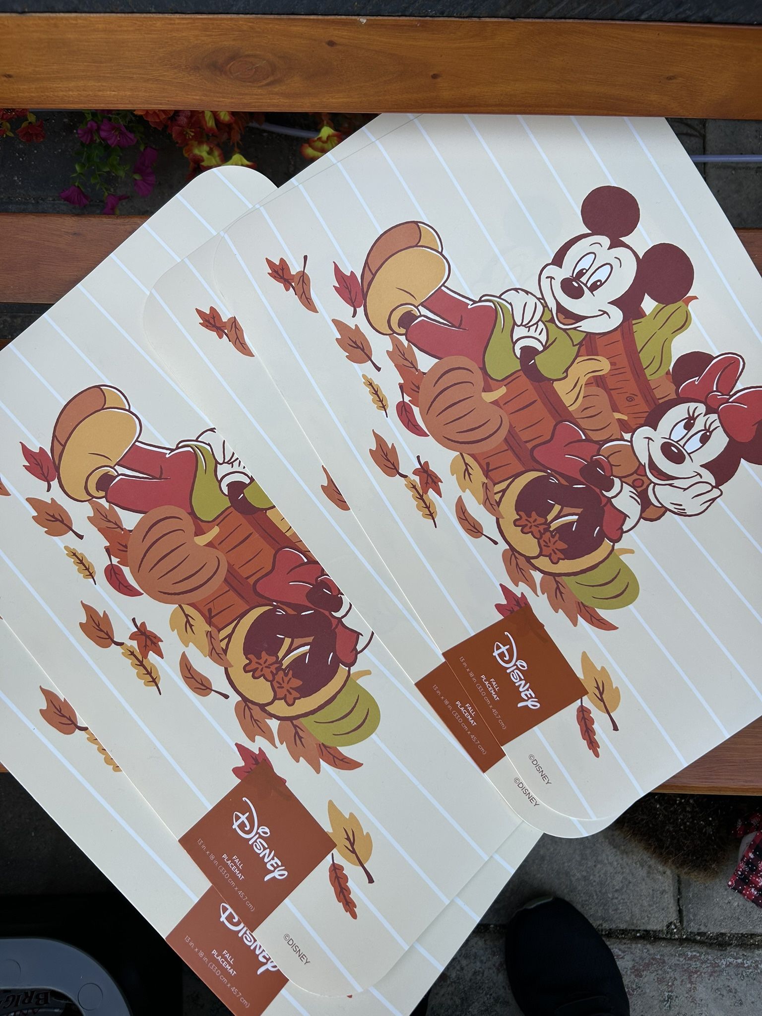 Disney Mickey & Minnie Placemats Set Of 4